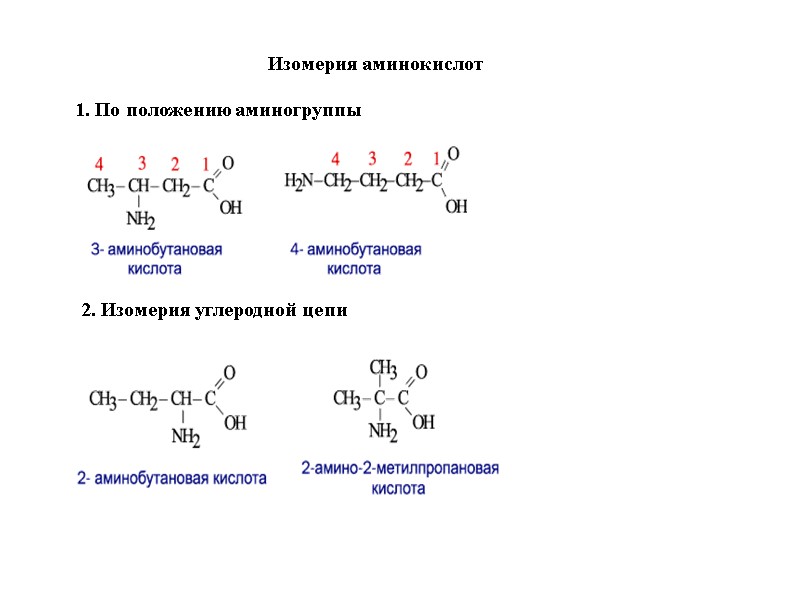 Изомерия аминокислот 1. По положению аминогруппы 2. Изомерия углеродной цепи
